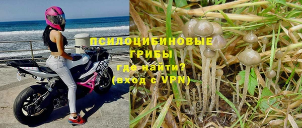 мяу мяу кристалл Арсеньев