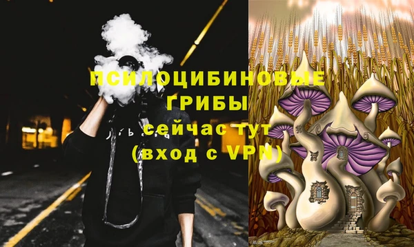 мяу мяу кристалл Арсеньев