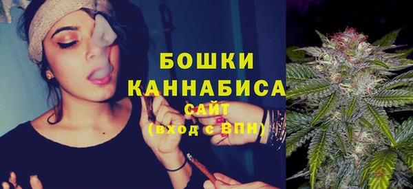 шишки Снежинск
